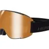 Goggles HEAD Magnify TVT + Pola - 2020/21