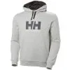 Hoodie HELLY HANSEN Logo Hoodie - 2021/22